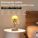 71Fve6Qdh+L._SX679_.webp